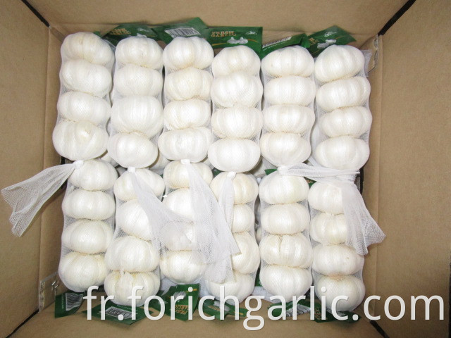 Pure White Garlic